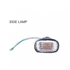 Toyota RAV4 2001 Side lamp